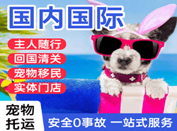 图木舒克唐王城空运国际宠物托运 【国
